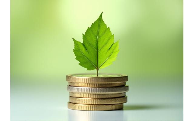 Žalias lapas ant monetų krūvos, simbolizuojantis finansinius privalumus tvaraus gyvenimo būdo
